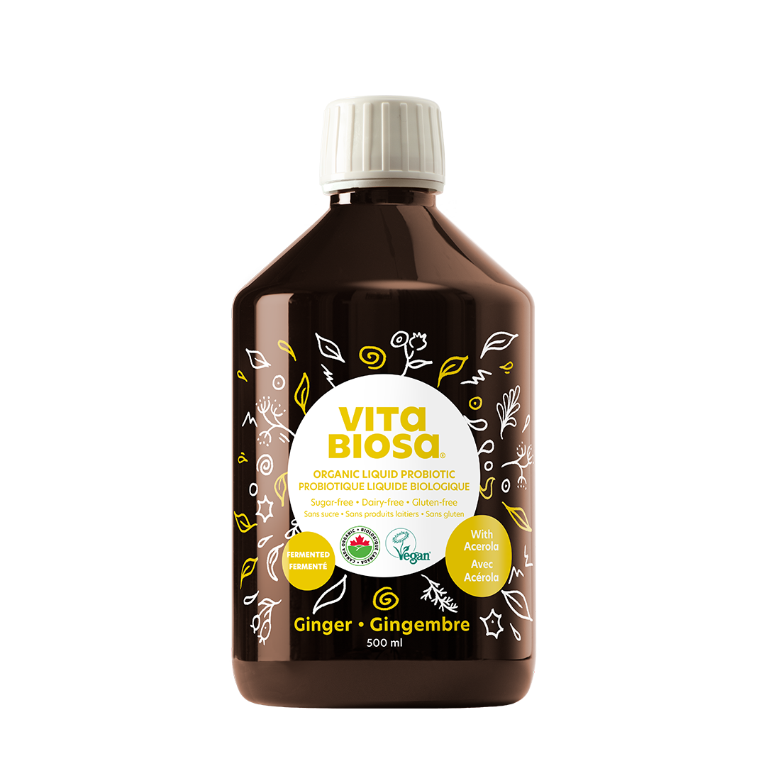Vita Biosa Ginger 500ml